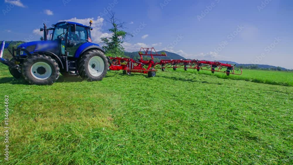 A tractor slowly starts moving on the meadow. Rotary rakes are moving, too. It is a beautiful summer day.
A tractor slowly starts moving on the meadow. Rotary rakes are moving, too. It is a beautiful summer day.
