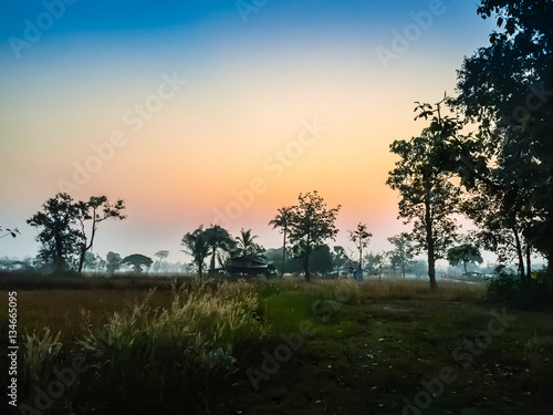 Farmhouse in the rice field with Sunrise In The Morning and blue sky background After Harvested