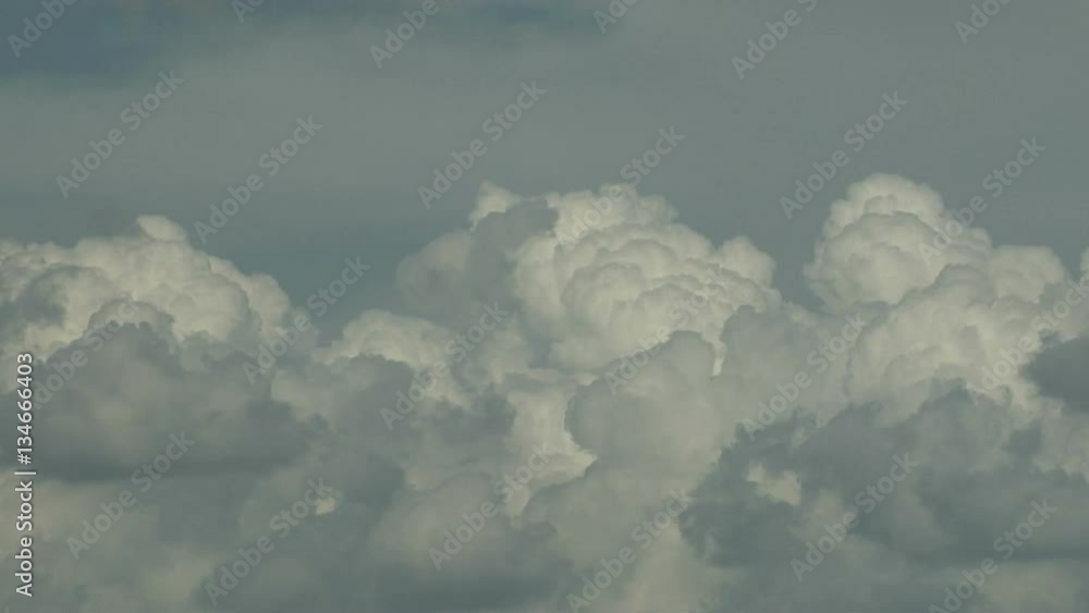 Warm Air Rises in Cumulus Updrafts Warm Air Rises in Cumulus Updrafts
