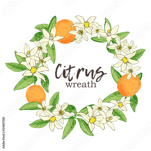 Fruit wreath with isolated hand drawn oranges and flowers in ske