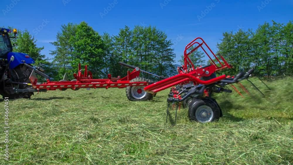Rotary rakes are working really fast when a tractor is driving across the field and turning hay around with agricultural machinery. It is summer time.
Rotary rakes are working really fast when a tractor is driving across the field and turning hay around with agricultural machinery. It is summer time.