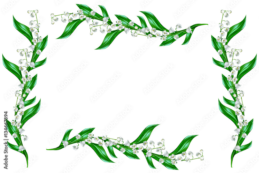 The branch of lilies of the valley flowers isolated on white bac The branch of lilies of the valley flowers isolated on white bac