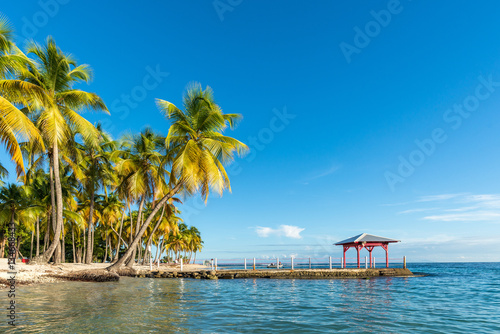 beachfront of Plage de la Caravelle in Guadeloupe