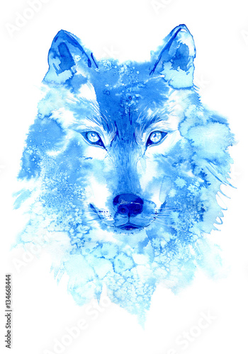 Wolf. image of a wild animal. Watercolor hand drawn illustration. © jula_lily
