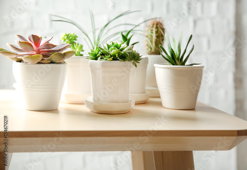 Pots with succulents on table against brick wall background © Africa Studio