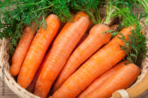 fresh carrots bunch on rustic old basket