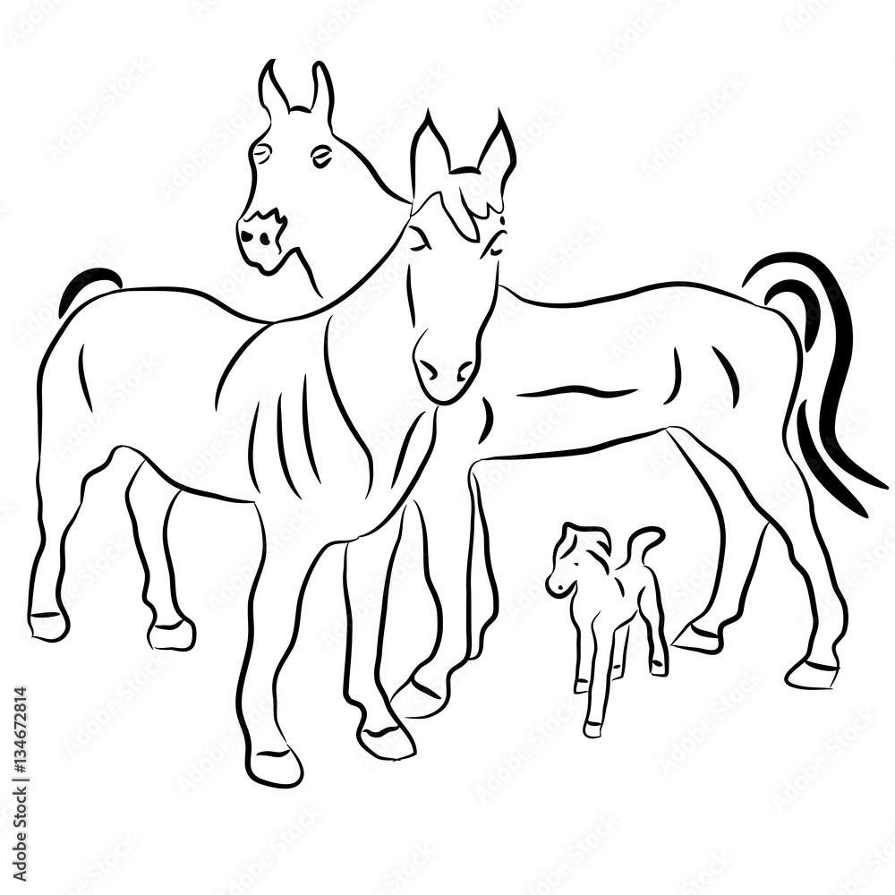 Silhouettes of horses and a calf. Family. Vector illustration