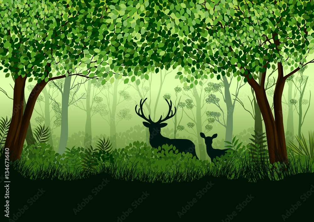 Naklejka premium Green forest with wild elk in forest
