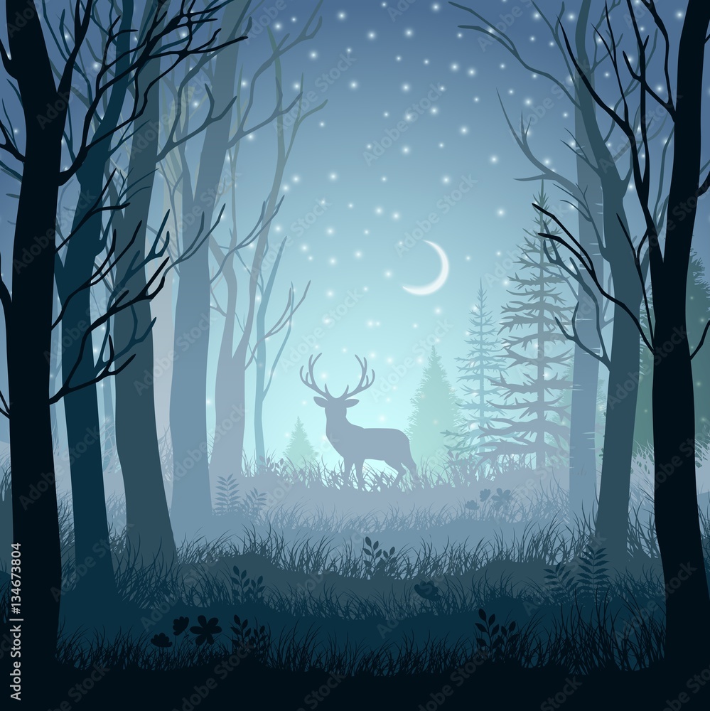 Winter landscape with deer in the forest at night background Stock ...