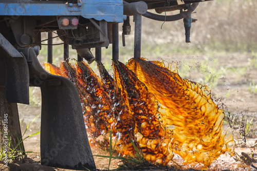 Fotografija Truck pouring molasses in the sugar plantation as fertilizer