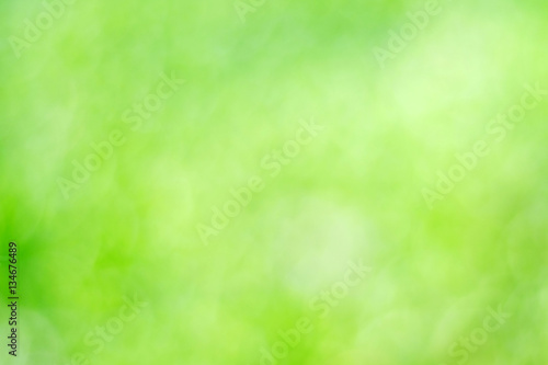 Blur green tree leaves with bokeh background