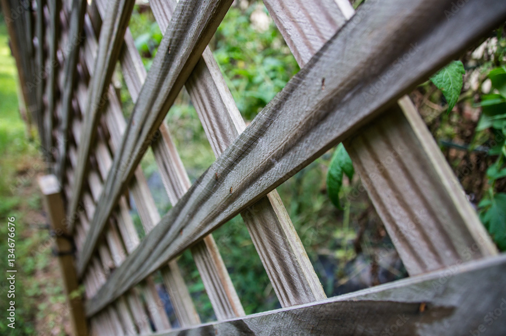 A Wooden Fence