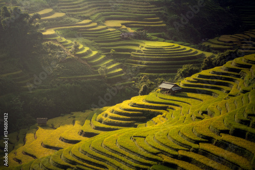 The Rice Fields On Terraced Of Mu Cang Chai, In Northern Vietnam.