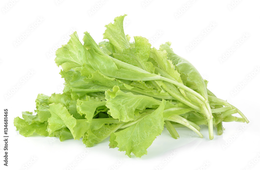 fresh green lettuce leaves isolated on white fresh green lettuce leaves isolated on white
