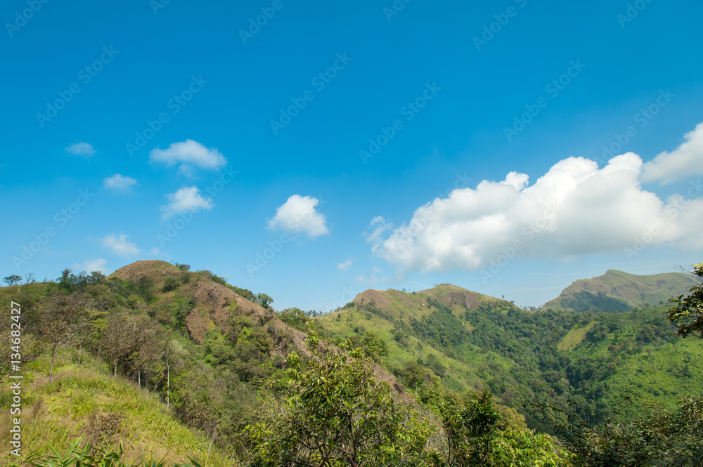 Obraz premium Summer landscape. Green hill and blue sky in forest Thailand