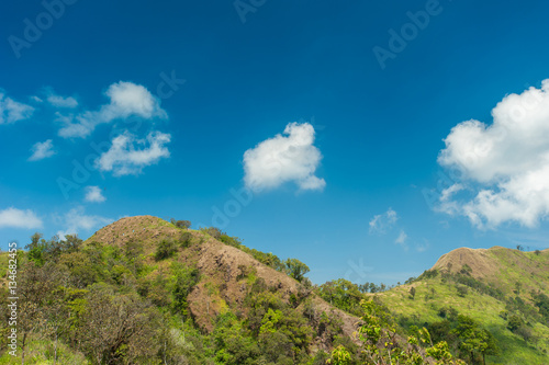 Summer landscape. Green hill and blue sky in forest Thailand