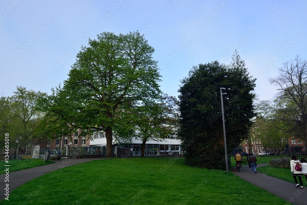 Obraz premium マースリヒトの城壁