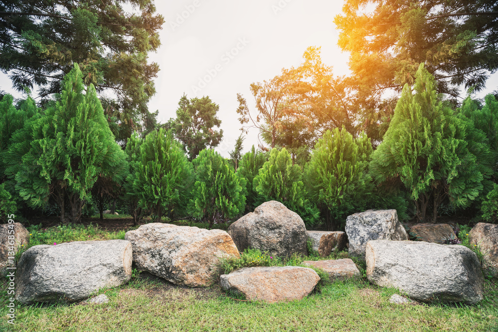 Pine tree decorated garden with stones