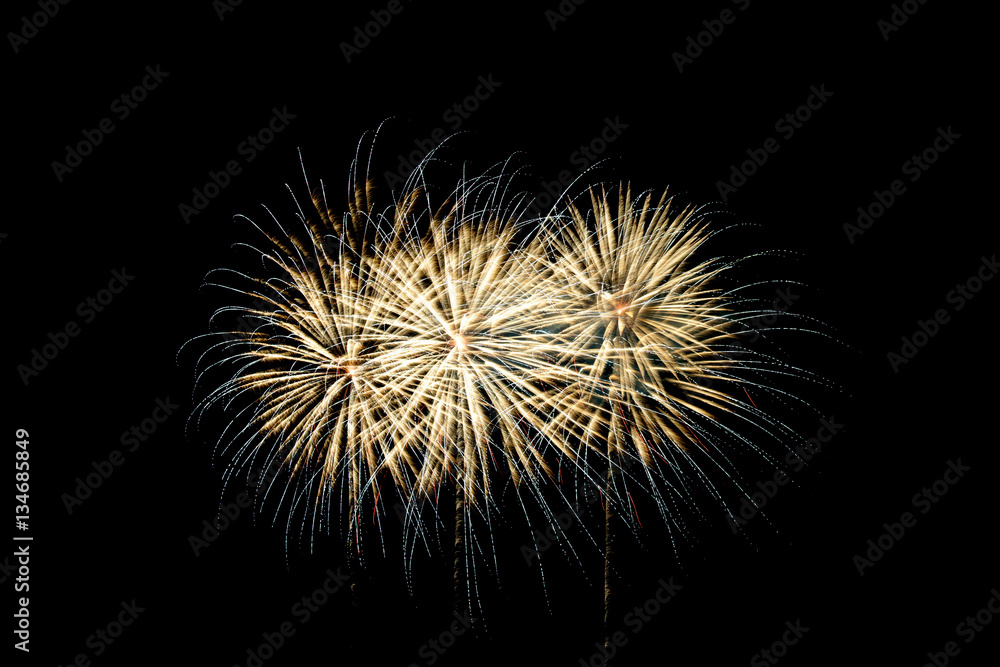 Fireworks light up the sky Fireworks light up the sky