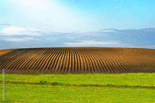 Furrows a plowed field prepared for planting crops in spring. Horizontal view landscape with clouds on blue sky in perspective. Agriculture sowing seeds and cultivating field on sunny day.