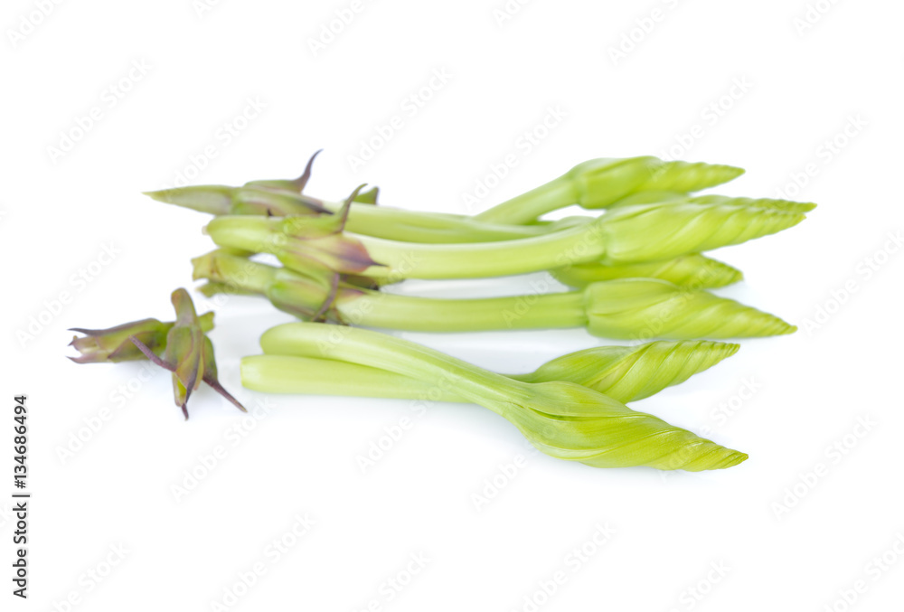 Fototapeta premium moonflower, edible flower on white background