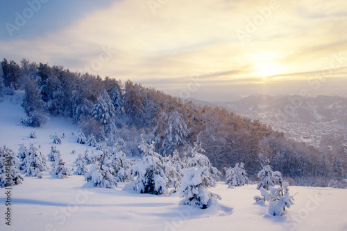 Winter sunset snow field on top of mountain on the background of taiga forest and hills