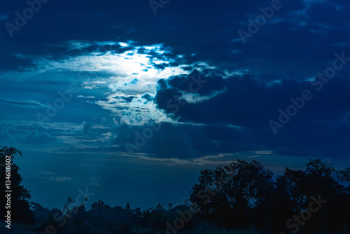 Silhouettes of the trees. Beautiful sunset sky, cool and dark to