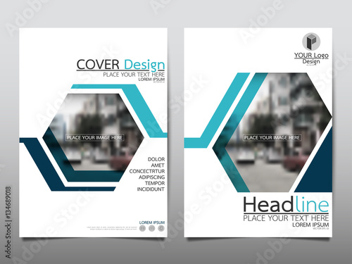Blue technology hexagon flyer cover business brochure vector design, Leaflet advertising abstract background, Modern poster magazine layout template, Annual report for presentation.