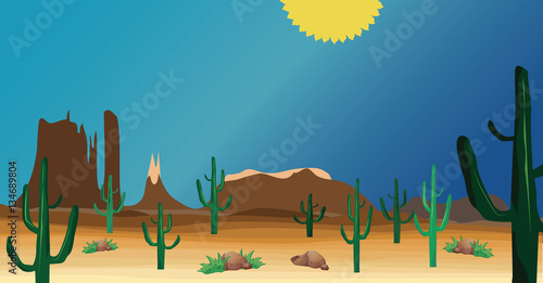 western desert