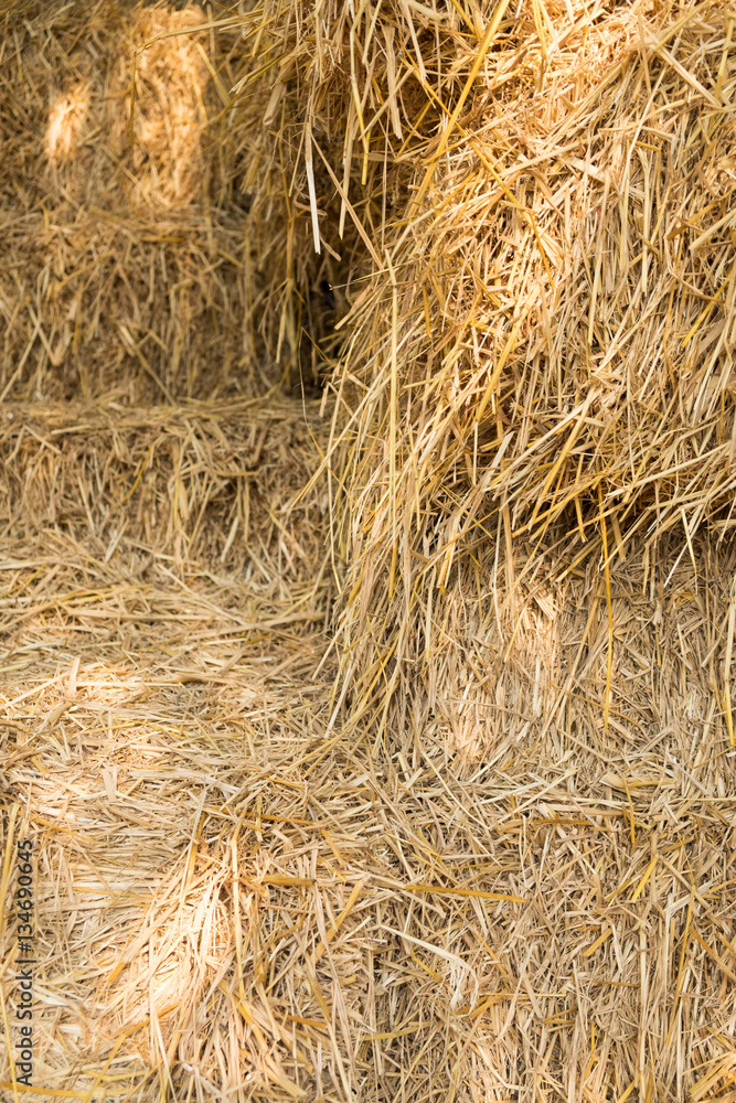 Hay Hay