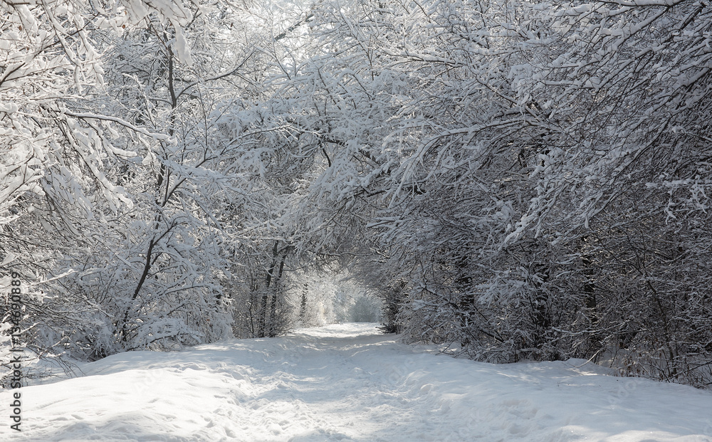 winter alley