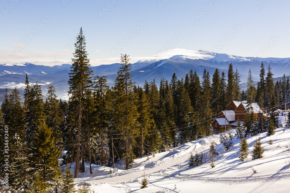winter mountains landscape with a snowy forest and  wooden hut on  sunny morning