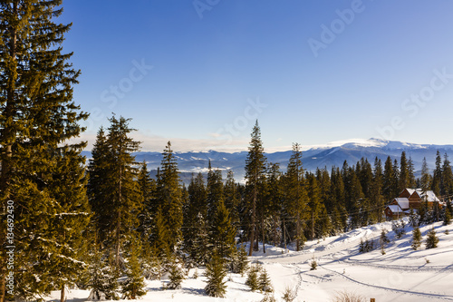 winter mountains landscape with a snowy forest and wooden hut on sunny morning