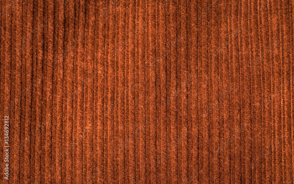 Fototapeta premium Corduroy background in close up