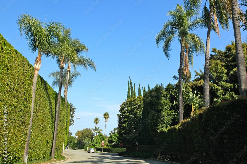 Fototapeta premium Beverly Hills, Los Angeles