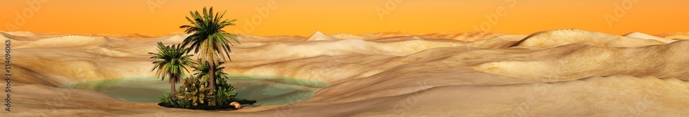 Beautiful oasis in the desert sand
