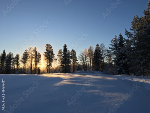 Sonne im verschneiten Winter © foto_desch