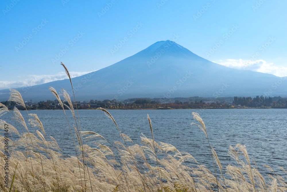 Mountain Fuji and Kawaguchiko Lake, Grass Foreground