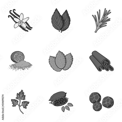 Herb and spices set icons in monochrome style. Big collection of herb and spices vector symbol stock illustration