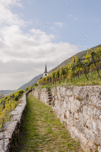 Ligerz, Dorf, Weindorf, Kirche, Weinberg, Bielersee, Wanderweg, Rebenweg, Spazierweg, Weinernte, Herbst, Schweiz photo