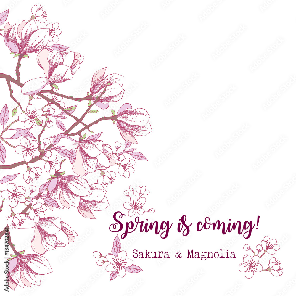 Spring Sakura and Magnolia Background Spring Sakura and Magnolia Background