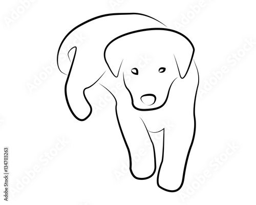 cucciolo di cane vettoriale 