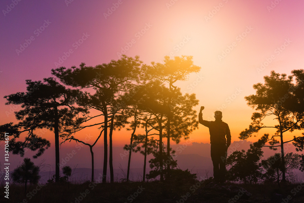 Silhouette of Happy hiker with raised hands in pine forest with Silhouette of Happy hiker with raised hands in pine forest with