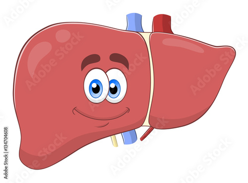Cartoon liver