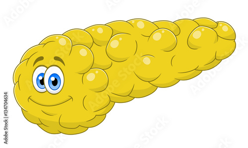 Cartoon pancreas