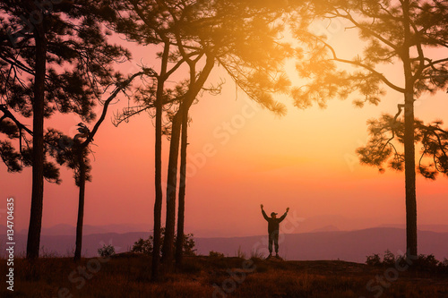 Silhouette of Happy hiker with raised hands in pine forest with