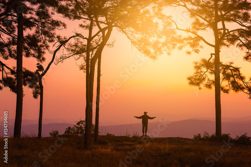 Silhouette of Happy hiker with raised hands in pine forest with