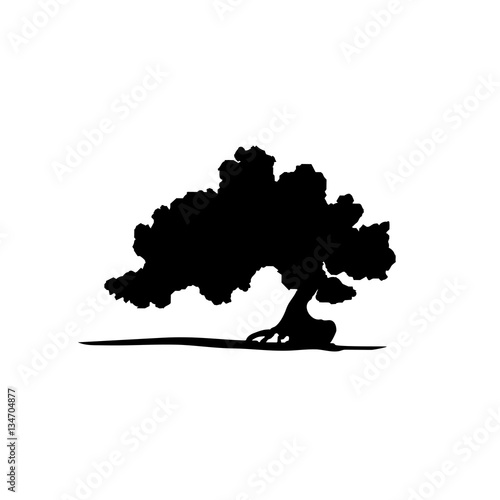 Vector silhouette of bonsai tree.