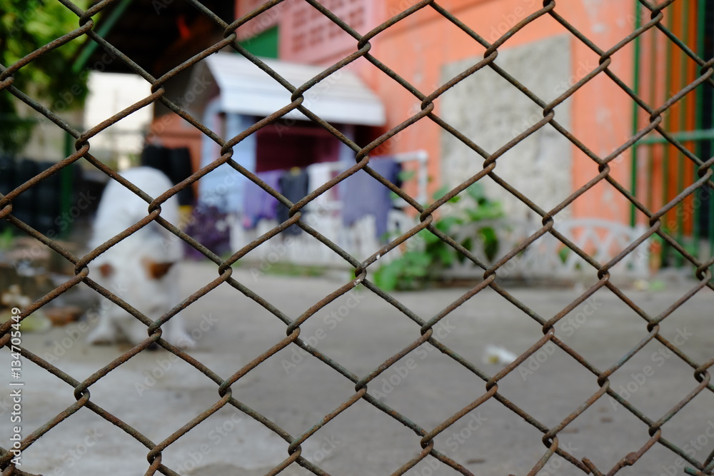 Behind the fence Behind the fence