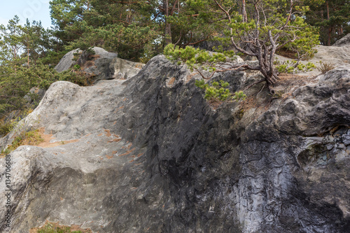 Teufelsmauer bei Blankenburg im Harz photo